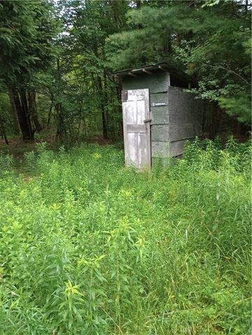 2091 Parker Hollow Road, Masonville, NY 13849