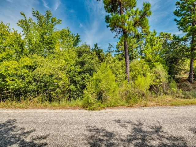 00 Makaha DR, Bastrop, TX 78602