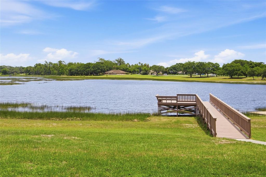 Image 47 of property listing at 4905 KELSO STREET, Leesburg, FL 34748