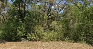 21175 SE 142ND LANE, Umatilla, FL 32784