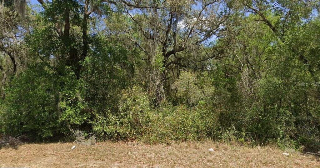 21175 SE 142ND LANE, Umatilla, FL 32784