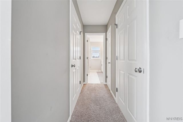 2899 Brookfield Drive, Wheatfield, NY 14132