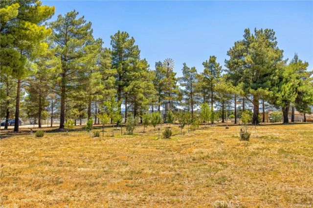 49585 Flightline Way, Aguanga, CA 92536