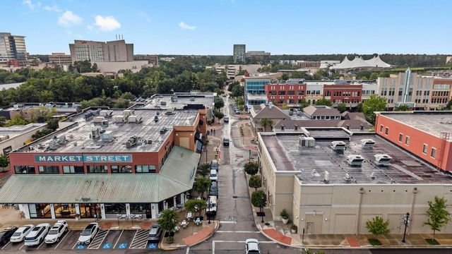 6 Dusky Meadow Place, The Woodlands, TX 77381