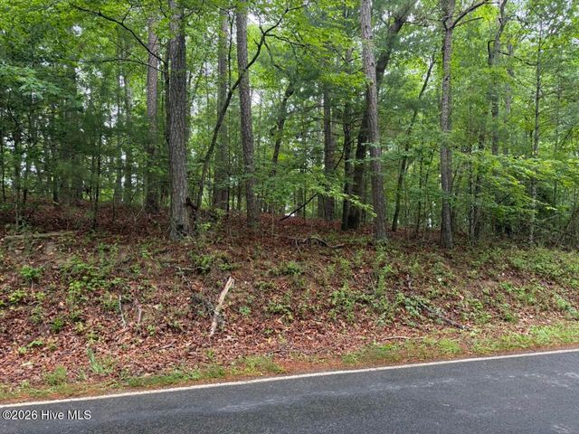 274 Snow Hill Ridge Road, Murphy, NC 28906