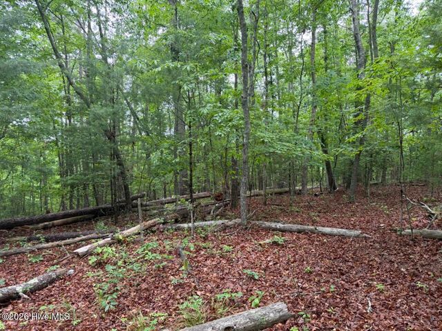 274 Snow Hill Ridge Road, Murphy, NC 28906