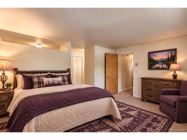 1369 Spring Valley Dr, Divide, CO 80814