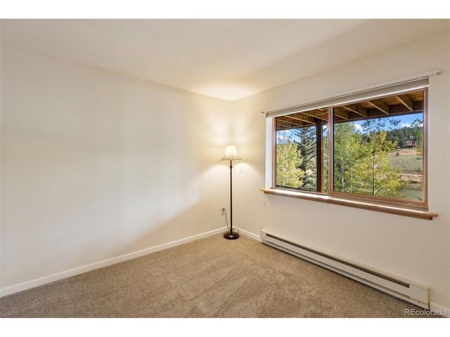 1369 Spring Valley Dr, Divide, CO 80814