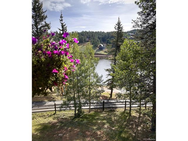 1369 Spring Valley Dr, Divide, CO 80814