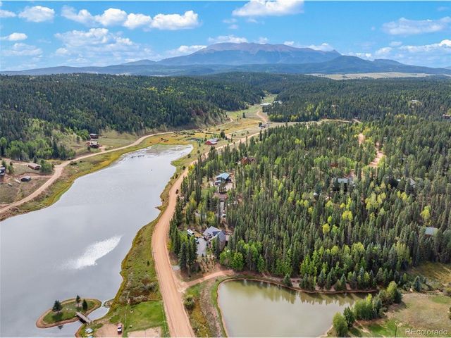 1369 Spring Valley Dr, Divide, CO 80814