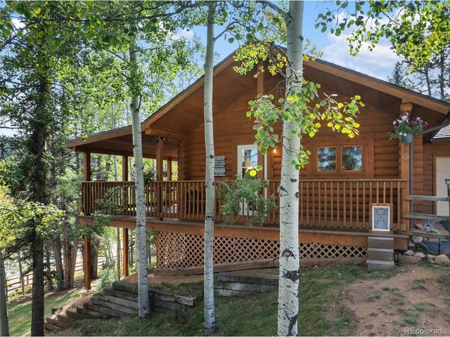 1369 Spring Valley Dr, Divide, CO 80814