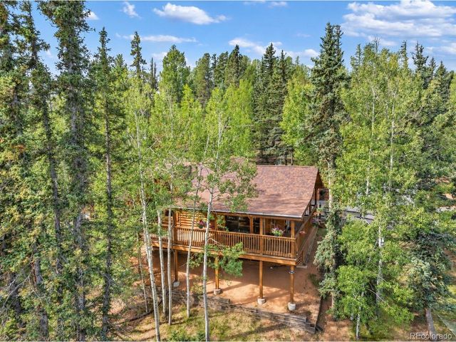 1369 Spring Valley Dr, Divide, CO 80814