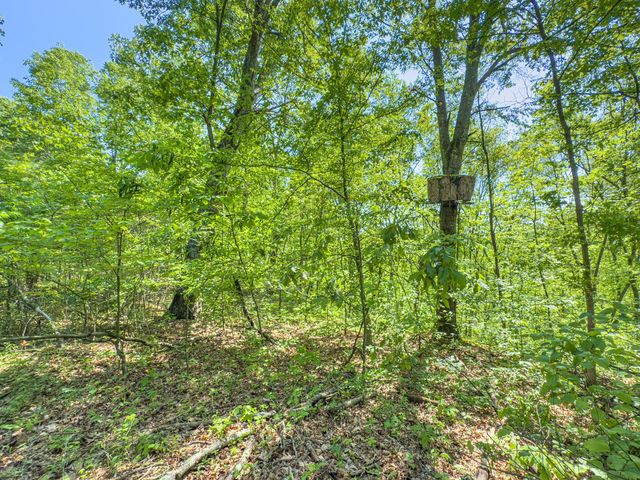 0 Santoy Road, Corning, OH 43730