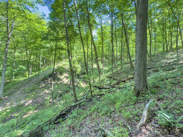 0 Santoy Road, Corning, OH 43730