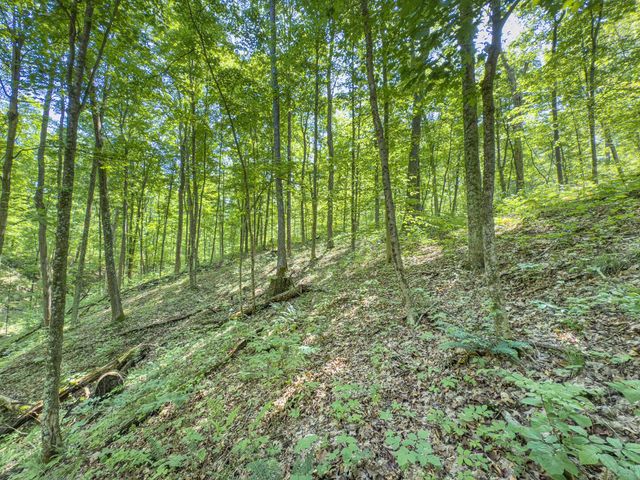 0 Santoy Road, Corning, OH 43730