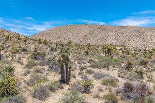 55652 Buena Vista Drive, Yucca Valley, CA 92284