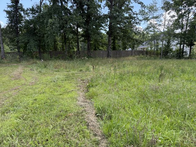 308 Mount View Dr, Hohenwald, TN 38462