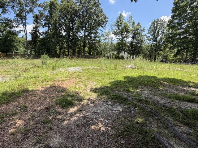 308 Mount View Dr, Hohenwald, TN 38462