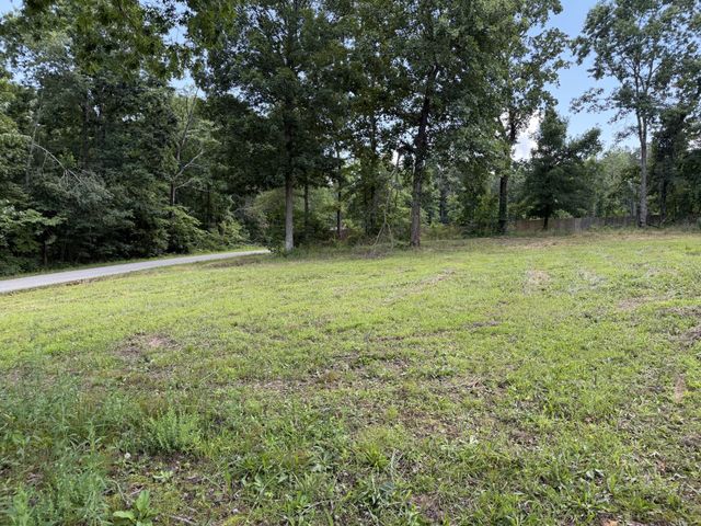 308 Mount View Dr, Hohenwald, TN 38462