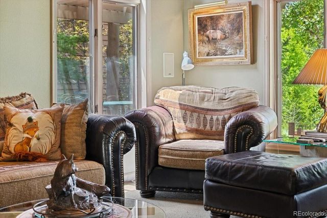 40 3 Lakes Court, Red Feather Lakes, CO 80545