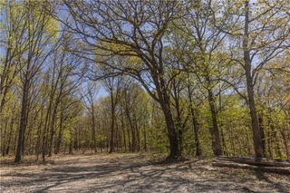 27064 Hickory Tree Lane, Lincoln, MO 65338