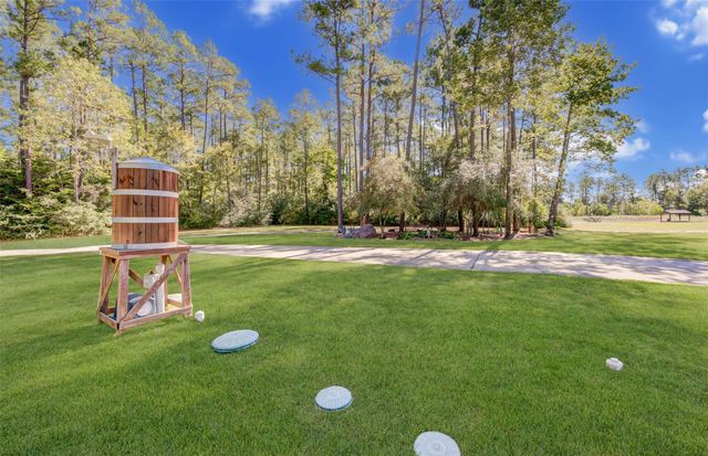 22 Mount Zion Road, New Waverly, TX 77358