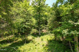 Tbd Pressmens Home Road, Rogersville, TN 37857
