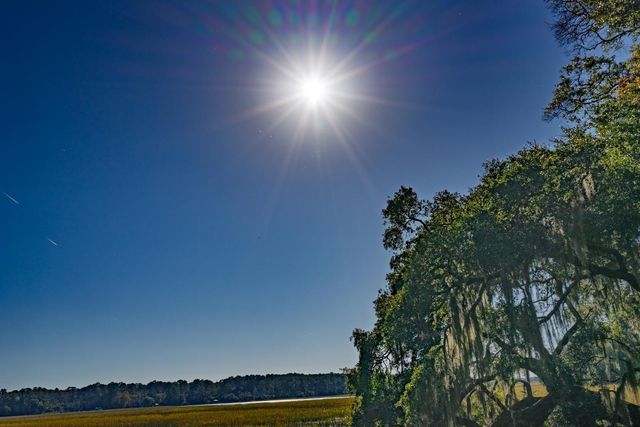 8356 Crooked Creek Lane, Edisto Island, SC 29438