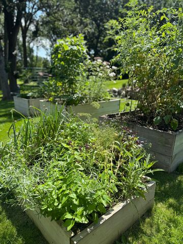 3141 Fairchild Avenue, Wayzata, MN 55391