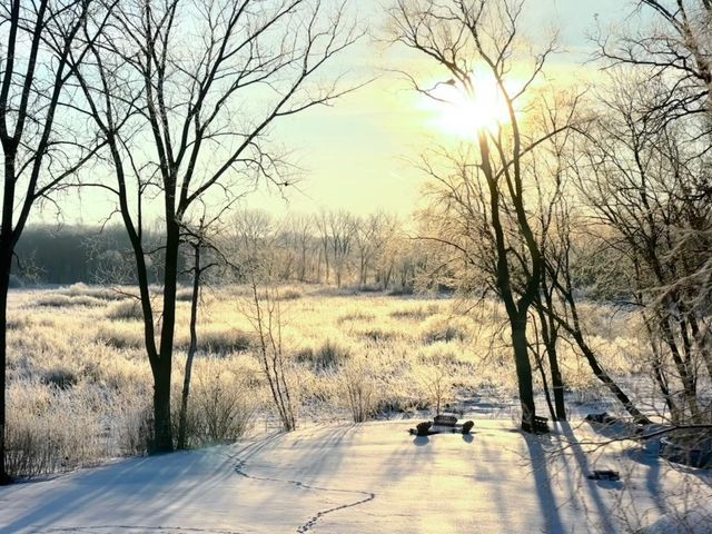 3141 Fairchild Avenue, Wayzata, MN 55391