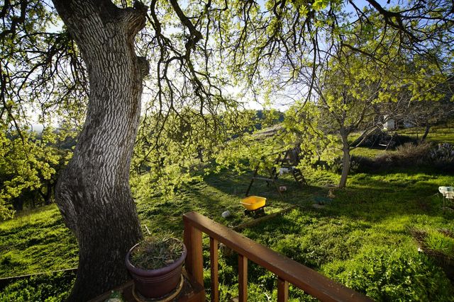 7326 Nugget Trl, Smartsville, CA 95977