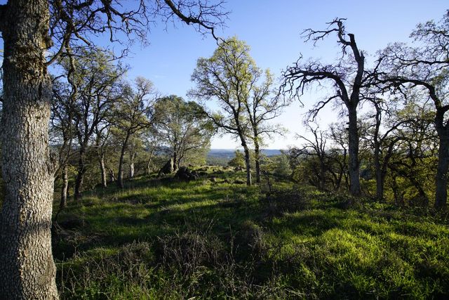 7326 Nugget Trl, Smartsville, CA 95977