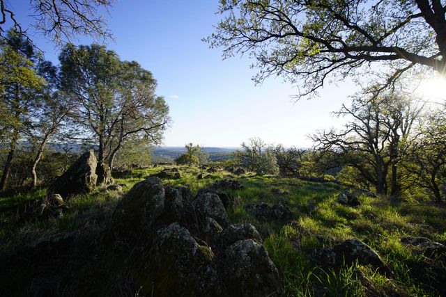 7326 Nugget Trl, Smartsville, CA 95977