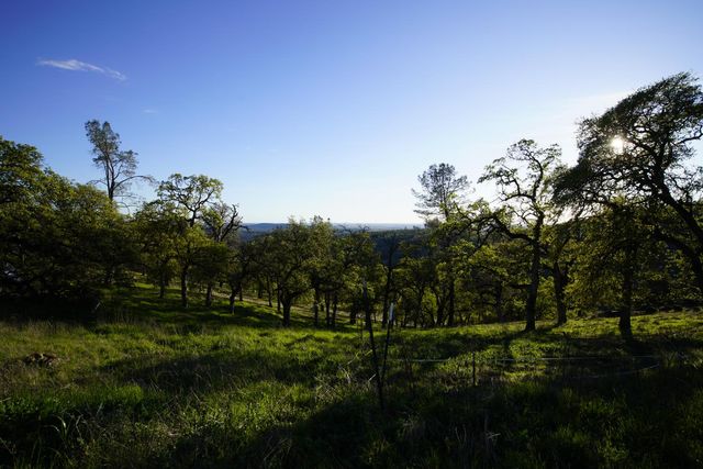 7326 Nugget Trl, Smartsville, CA 95977