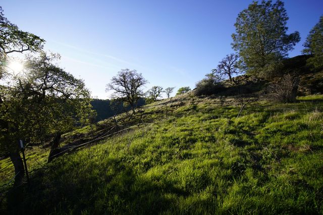 7326 Nugget Trl, Smartsville, CA 95977