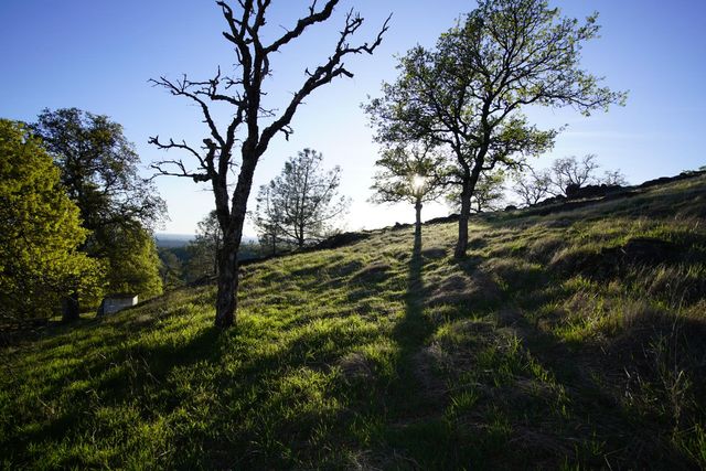 7326 Nugget Trl, Smartsville, CA 95977