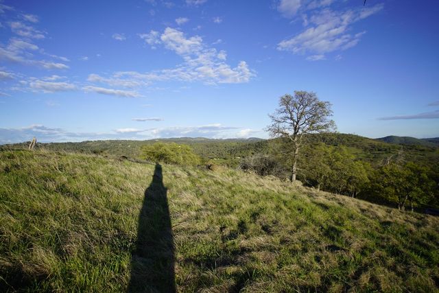 7326 Nugget Trl, Smartsville, CA 95977