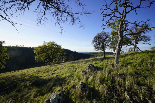 7326 Nugget Trl, Smartsville, CA 95977