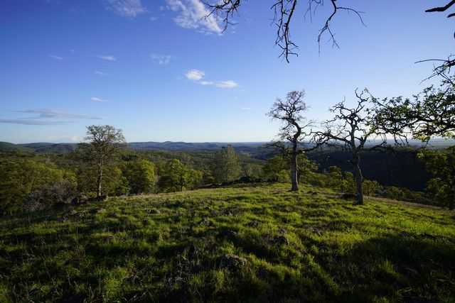 7326 Nugget Trl, Smartsville, CA 95977