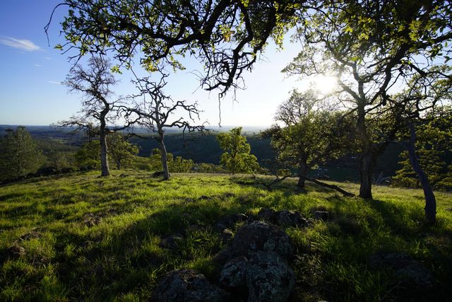 7326 Nugget Trl, Smartsville, CA 95977