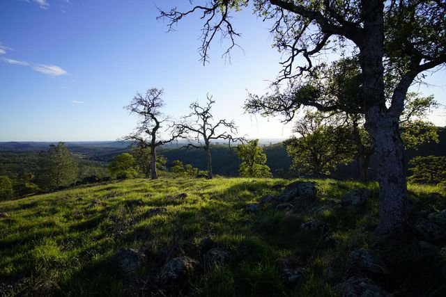 7326 Nugget Trl, Smartsville, CA 95977