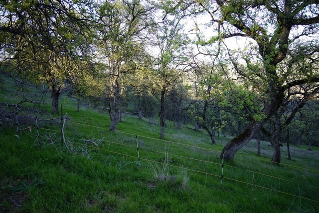 7326 Nugget Trl, Smartsville, CA 95977