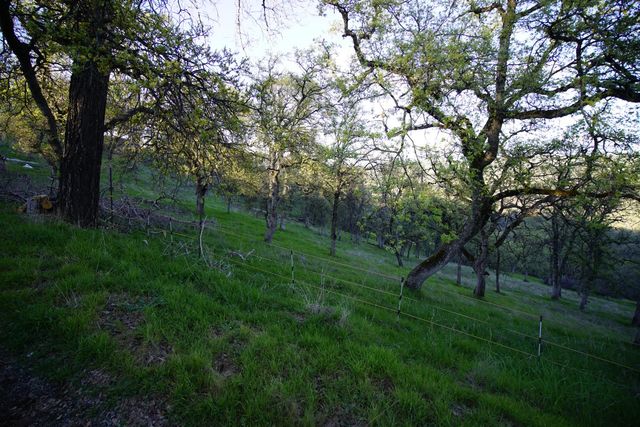 7326 Nugget Trl, Smartsville, CA 95977