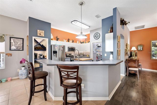 1311 OPORTO DRIVE, The Villages, FL 32162