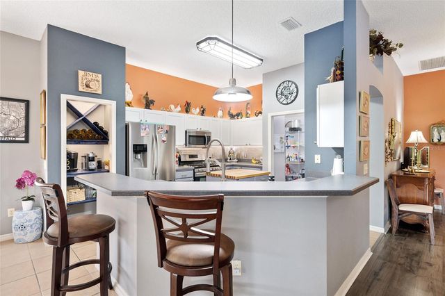 1311 OPORTO DRIVE, The Villages, FL 32162