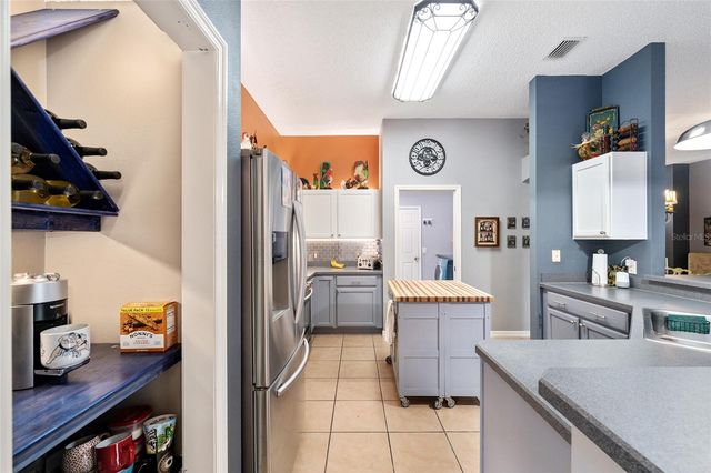 1311 OPORTO DRIVE, The Villages, FL 32162