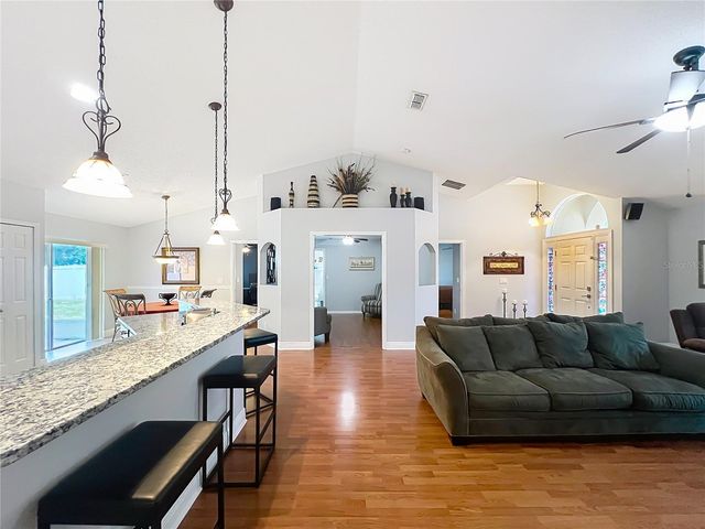 1123 LAKEVIEW OAKS DRIVE, Minneola, FL 34715