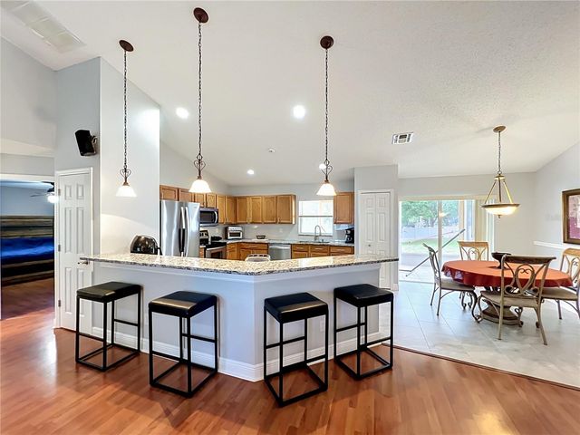 1123 LAKEVIEW OAKS DRIVE, Minneola, FL 34715