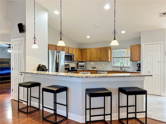 1123 LAKEVIEW OAKS DRIVE, Minneola, FL 34715
