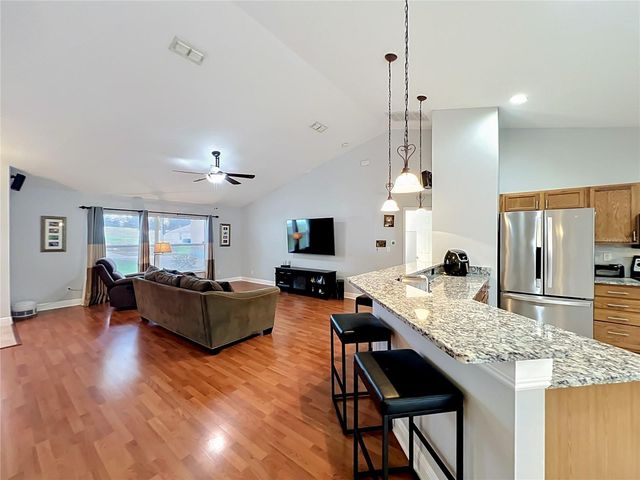 1123 LAKEVIEW OAKS DRIVE, Minneola, FL 34715